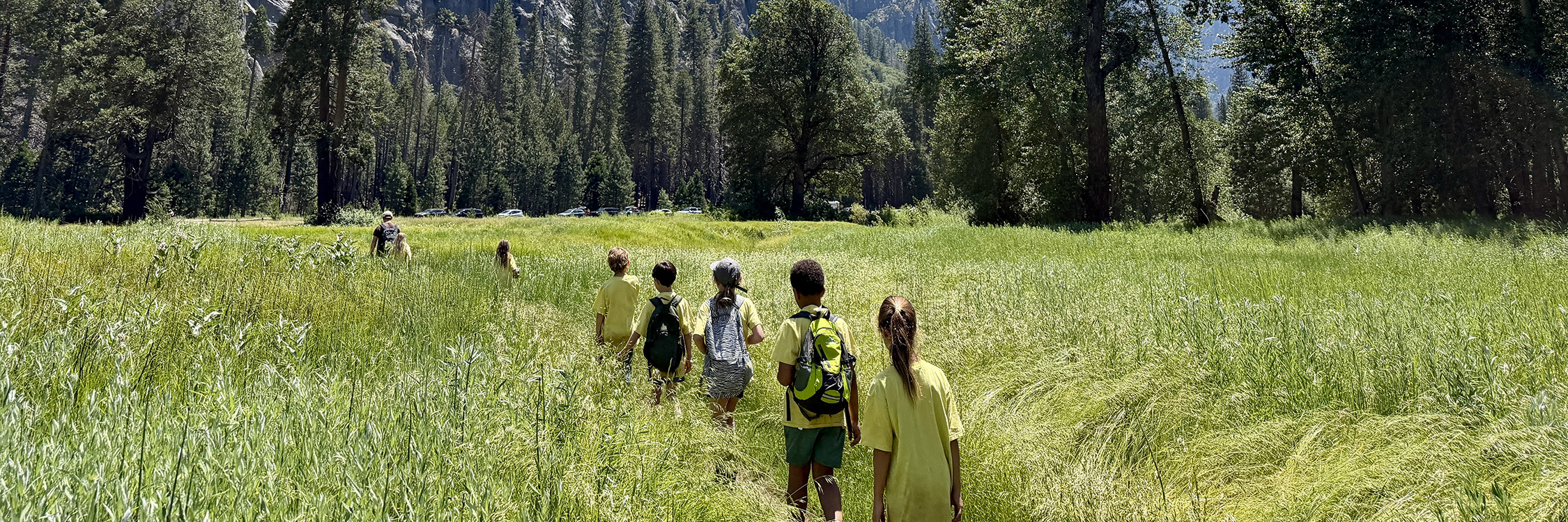 Kids hiking through grass in yosemite