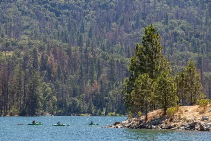 Kayaks on bass lake